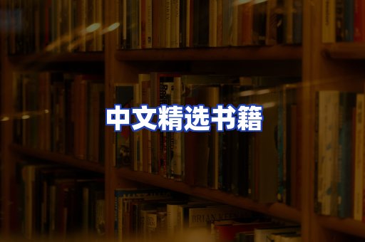 中文精选书籍